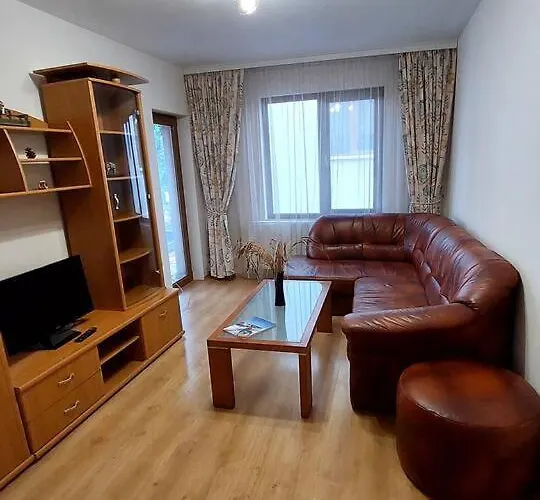 радост * 班斯科